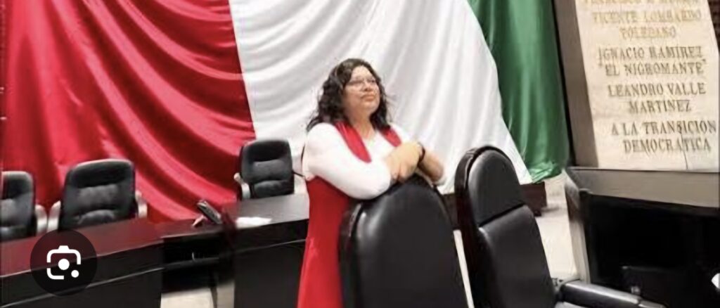 Karina Pérez Propone Realizar Campañas de Difusión en los Refugios Especializados para Mujeres Víctimas de Violencia de Género